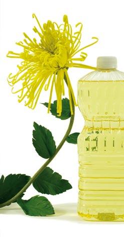 Green Power There is a wide range of different vegetable oils each with their own individual properties and suitability for cosmetic products.