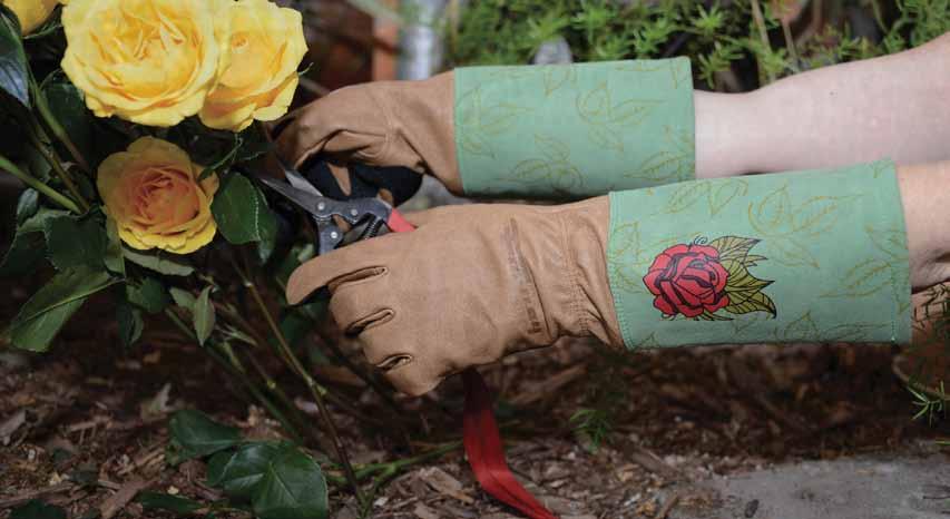Signature rose tender glove