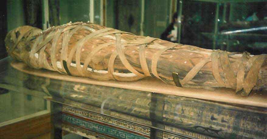 that still have flesh on their bones. Some cultures have a tradition of making mummies when people die.