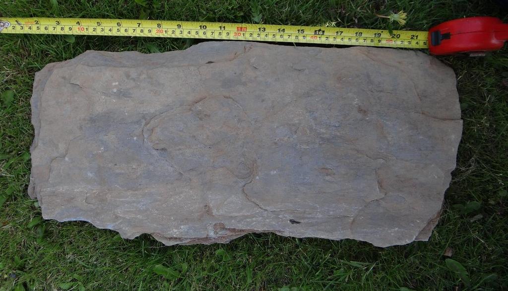 Fig 13: Cist slab with cub mark in the middle of the slab indicated by an arrow. Photo: Rachel Crellin. Context [1009] This context is the cut of the pit which contained Cist 1.