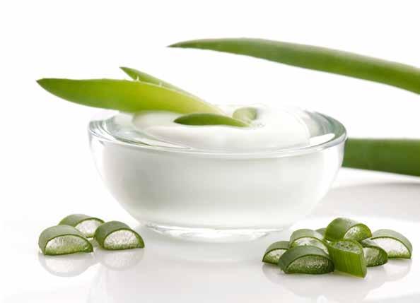 We can credit these penetration properties to the lignins found in Aloe Vera, the major structural material of the the cellulose content.