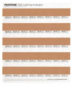SkinTone Guide 110 skin tone shades for inspiration and use in Beauty, Fashion,