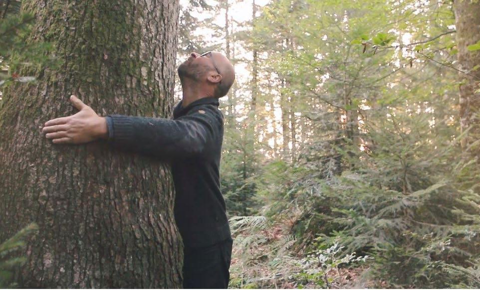 The tree-whisperer of Hittisau Video 3/6 Markus Faißt is passionate about contemporary design,