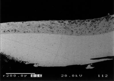 Fig. 5. Sample 4. The lower part of the micrograph shows the silver layer, the upper (black) part a partly corroded copper alloy.