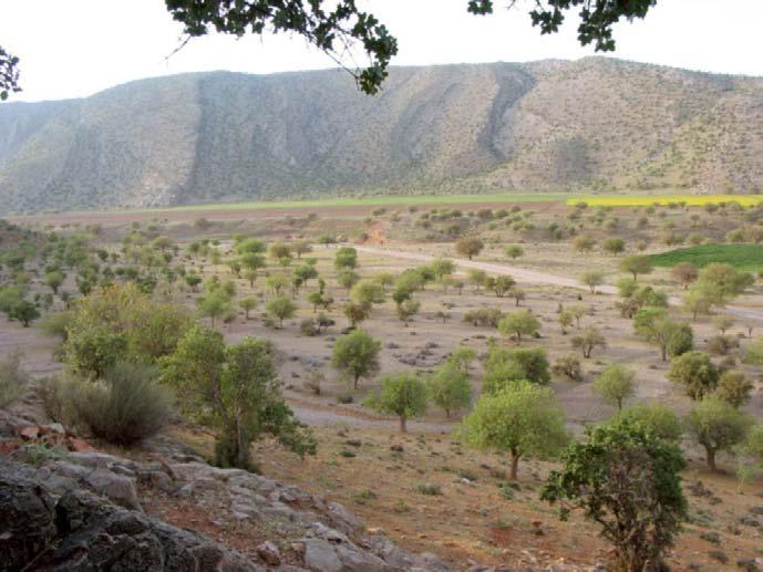 Fig. 1: Tang-e Bulaghi. General view of site no. 64.