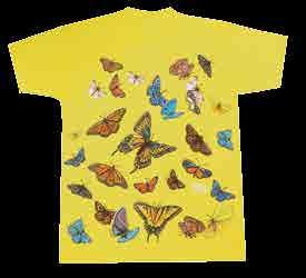 BUTTERFLY 1743 Ladies Tee S XL 2743 Youth