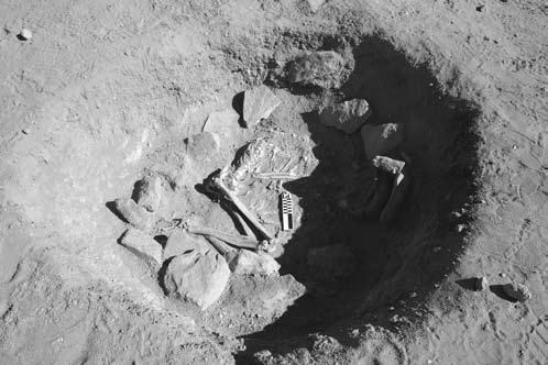 Figure 5. Tumuli in the Al-Widay I cemetery (photo #446) Figure 6.