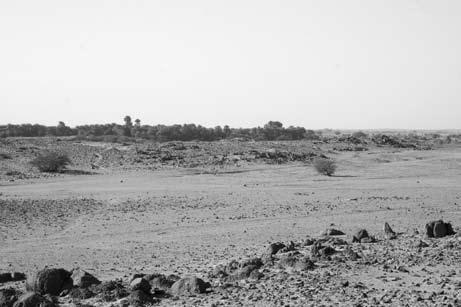 Figure 19. View of post-classic Kerma cemetery on Umm Gebir Island (UGS 101; photo #6801) Figure 20.