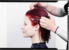 SHAMPOO and LEAVE-IN TREATMENT part of