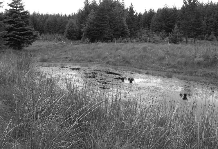 4 THE DRAGONFLIES AND DAMSELFLIES BREEDING IN DUMFRIES AND GALLOWAY Figure 3 Small peaty ponds in upland areas can be very good for dragonflies and damselflies.