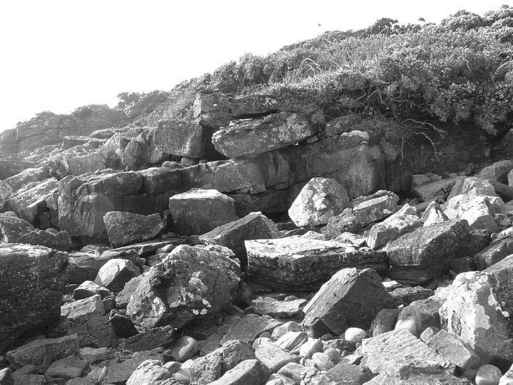 66 BUILDING STONE SOURCES FOR HISTORIC BUILDINGS IN GALLOWAY Quarries and building stones After a suitable stone source had been found, a quarry had to be developed to extract it.