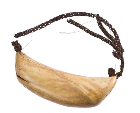 Banana fibre Shredded banana fibre has a distinctive golden sheen.