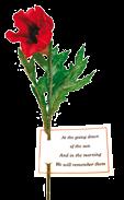 ANZAC DAY COMMEMORION COMMITTEE Other Merchandise Poppy products Long Stemmed Poppy (only available in boxes