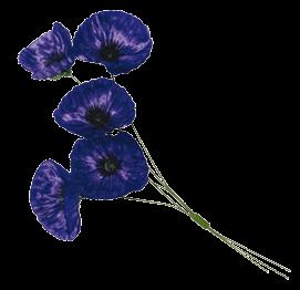 ANZAC DAY COMMEMORION COMMITTEE Other Merchandise Poppy products Silk Purple