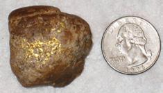 sent in this photo of his two best gold nugget finds made with his Garrett Gold Stinger detector.