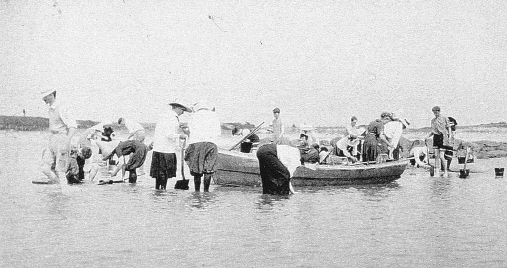 Collecting at Kettle Cove, about 1911.