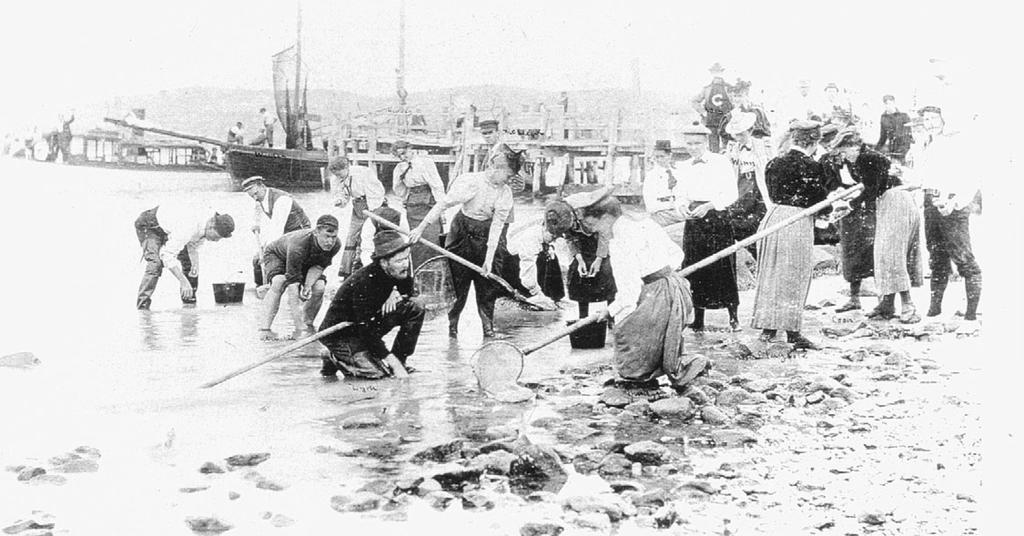 Collecting party at Cuttyhunk Island, 1895.