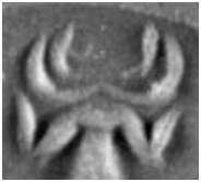 Pin Ornament from Mycenae Shaft