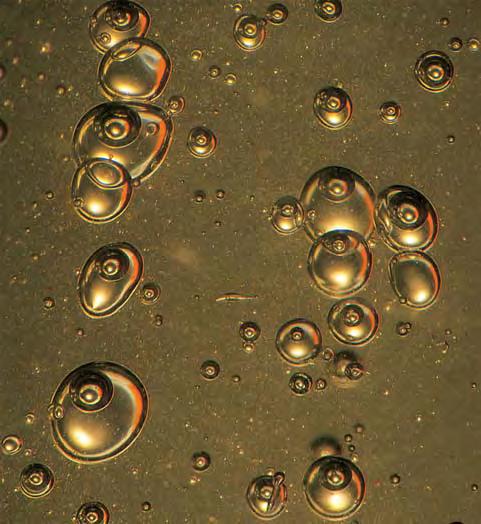 Figure 15. The bubbles in this resin, trapped along a flow plane, are partially filled with a watery fluid; several also contain free-floating gas bubbles in the fluid portion.