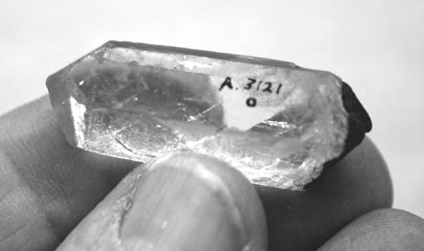 Mortuary Remains Recovered at the Palmer-Redondo Site (CA-LAN-127) 105 Figure 82. Quartz crystal (Item 91) from the offertory area, CA-LAN-127. Asphaltum adhers to the broken end.