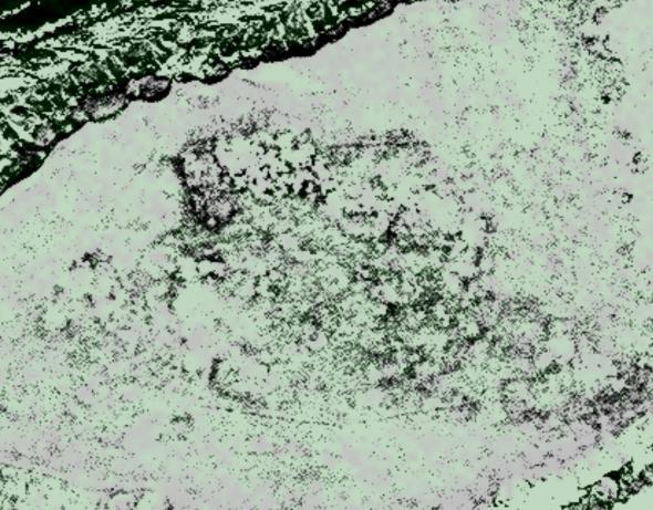 A satellite image of Point Rosee used by archaeologist Sarah Parcak in her search for Viking settlements. Dark straight lines indicate the remains of possible structures.
