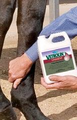 Use Vetrolin Liniment or Liniment Gel directly on sore muscles.