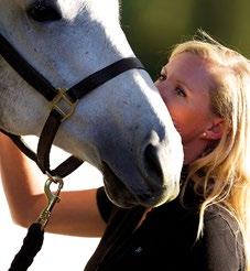 Strong bonds are built with great care. farnamhorse.