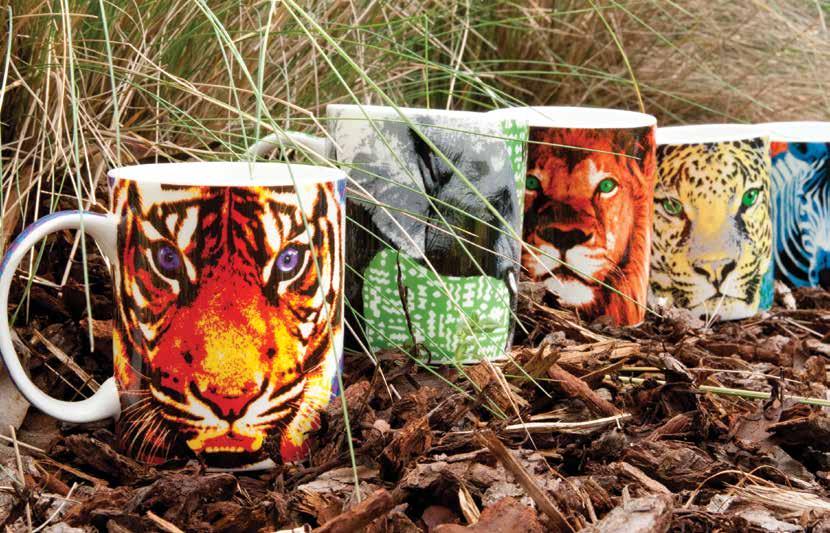 Wild Collection Designed by Longina Phillips Ashdene 2014 Ashdene pay homage to the fascinating wild