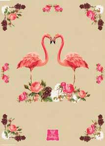 Flamingo Rose 16310 Flare