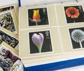 A collection of modern British stamps, including several mint presentation packs, along with 1970s and 1980s packs, together with a quantity of