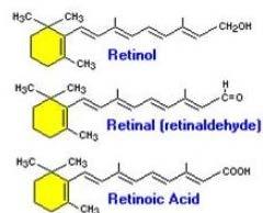 retinol cascade The retinol cascade is the process where special enzymes convert retinol to retinoic acid The majority of over-the-counter skin care products have very low levels of retinol Products