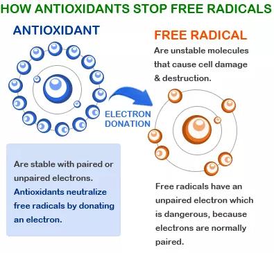 free radicals are: roaming, electrically unbalanced molecules