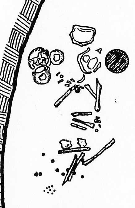 6. Buttons, Pins, Clips and Belts Inconspicuous Dress Accessories 147 Fig. 6.4: Drawing of the buttons find spot, Perati (Attica), Grave 16. Fig. 6.5: by one of the crocus-gatherers, Xeste 3, Akrotiri (Thera).