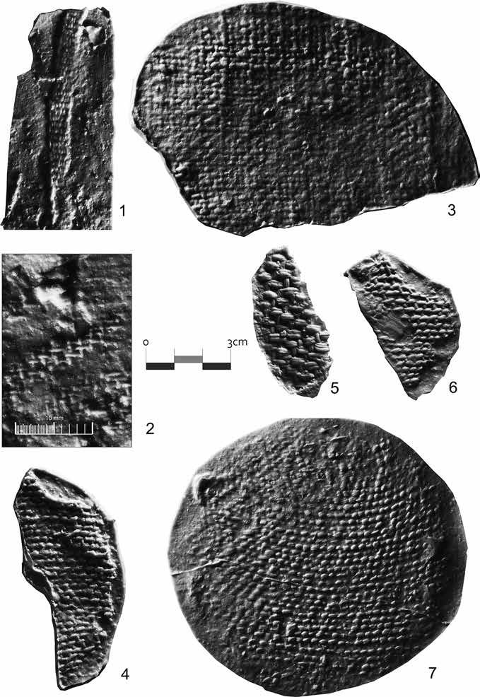 34 Paula Mazăre Fig. 1.23: Examples of textile imprints found in Neolithic and Copper Age sites (positive casts): Woven textiles 1. LBT.1050, Limba-Bordane, B1 B2 Vinča culture; 2. ALN.