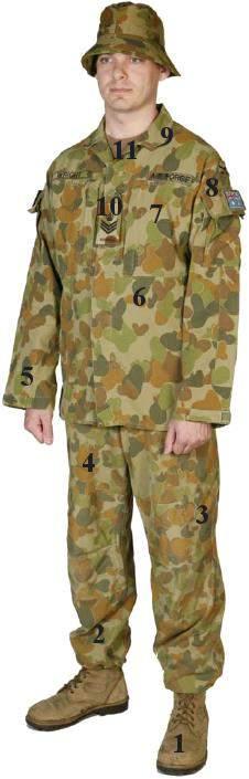 12 Disruptive Pattern Camouflage Uniform 73. The following diagram has been prepared to assist members understand the correct standard for wearing Disruptive Pattern Combat Uniform (DPCU). 74.