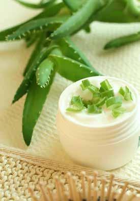 Aloe Vera moisturizes the skin and preserve skin's vibrancy.
