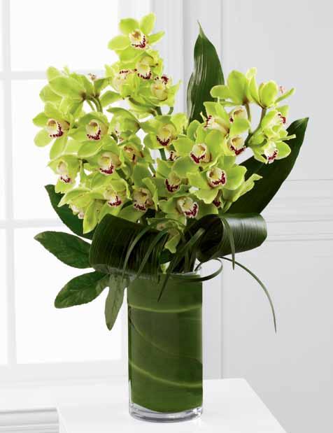 Here, it holds more than two dozen stems in a natural palette of soulful blues. LX118 This elegant bouquet of green cymbidium orchids will charm the most discriminating customers.
