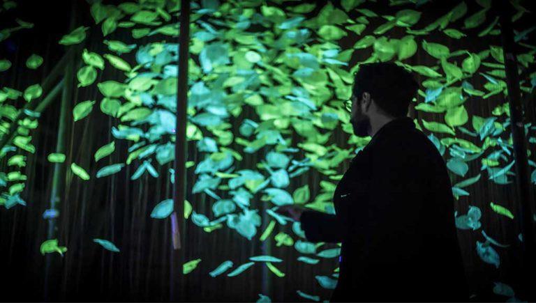 Flawless A light installation based on capturing the ephemerality of nature is how Studio Alex describes their installation Flawless.
