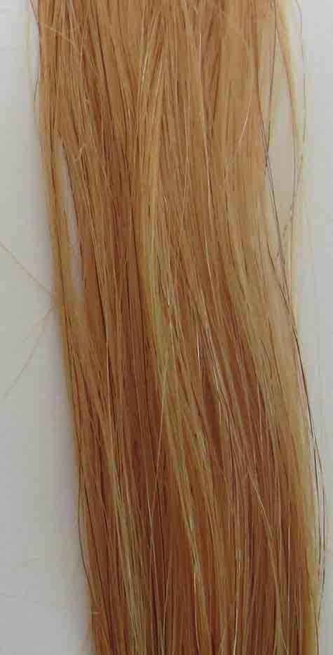 Bleached Hair (no additive) Bleached Hair with Lite Hair