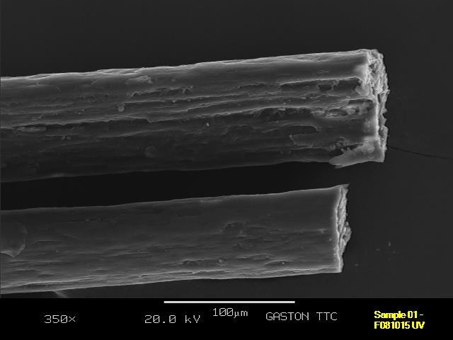 Scanning Electron Microscopy info@activeconceptsllc.com +1 (704)- 276-7100 Fax: +1 (704)- 276-71 Results Figure 1.