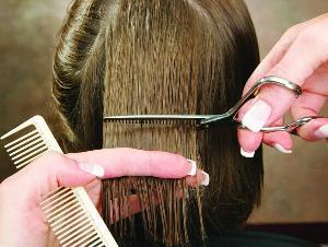 To slice an elevated subsection, work with either wet or dry hair.