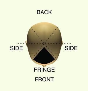 Sides- The sides include all the hair from the back of the ear forward, and below the parietal ridge. Crown- The crown is the area between the apex and the back of the parietal ridge.