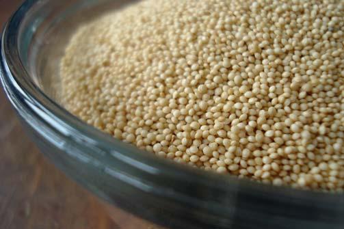 Ama-prot The proteins CONDITIONING Ama-prot is a fraction from Amaranth seeds rich in peptides and polysacharides.
