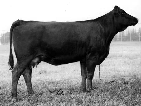 or 507-421-0123 S&A Cattle Company Amanda Eberspacher Marshall, MN 507-532-6694 or 612-805-7405 Schalek Simmentals Duane Schalek Hendricks, MN 507-275-3098 Volz Farms John Volz Elmore, MN
