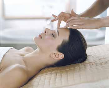 Our Products Elemis Designed to respect the body's complex physiology, Elemis spa therapies work in natural synergy with the skin, body and mind.