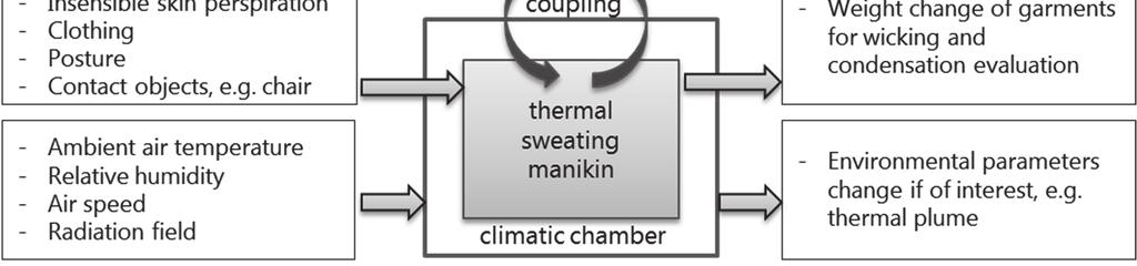 g cylinder), coarser resolution of manikin segmentation in comparison to segmentation of the human thermoregulation model should be performed 19) ; (5) The final evaluation of the