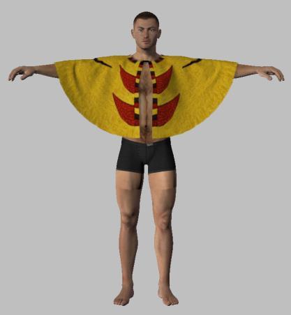 Using the Poser Dynamic Cloth Cape 1. Go to the Figure Library and load the Dusk Character. Do not alter the figure from the T Pose. 2.