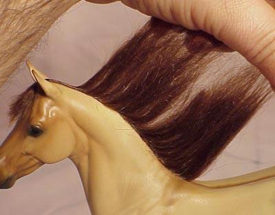 Trim the Mane Carefully comb/brush out all the loose hairs from the