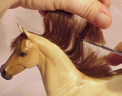 WIth one hand, pull the mane hairs up away from the crest.