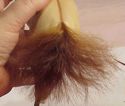 Press the hairs of the tail together, and snip upwards to reduce length and some bulk